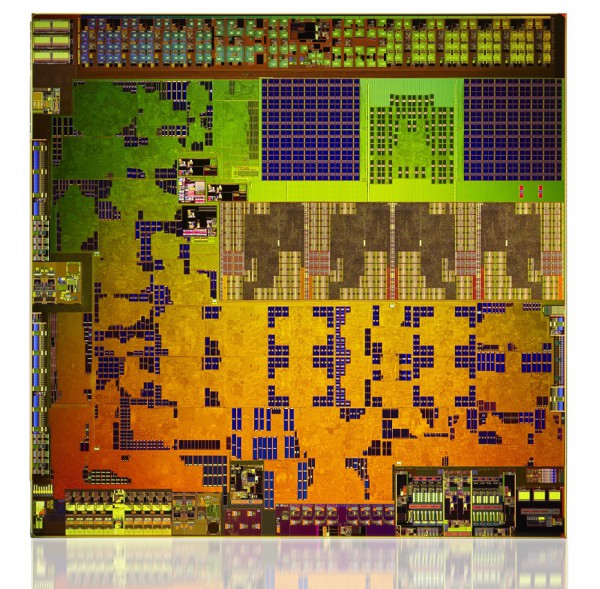 amd_am1_first