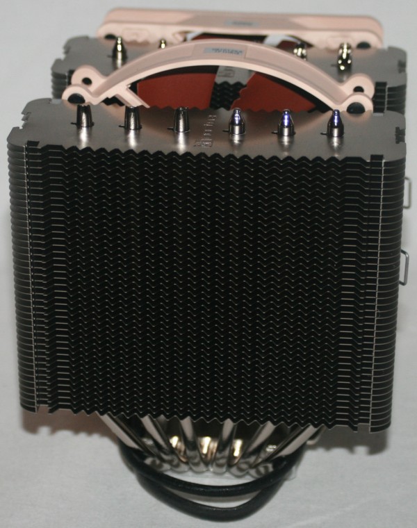 nt023