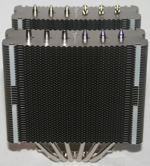 nt029