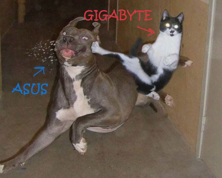 ASUSTek и Gigabyte разширяват гаранционните условия за дънните платки