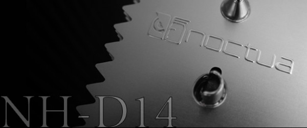 noctua_10_years