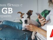 А1 подарява 10 000 МВ мобилен интернет на своите клиенти на мобилни услуги