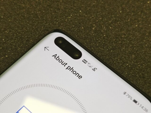 p40Pro_first