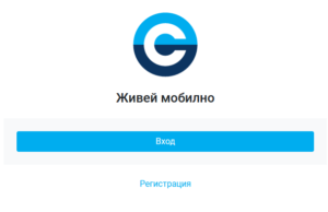 Клиентите на VIVACOM могат да закупят електронна карта за еднократно пътуване през телефона, чрез добавяне на стойността на билета към сметката си