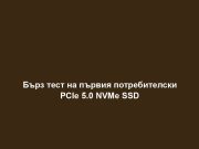Бърз тест на първия потребителски PCIe 5.0 NVMe SSD