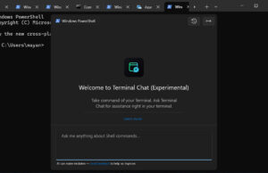 Microsoft въвежда Copilot AI Assistant в Windows Terminal